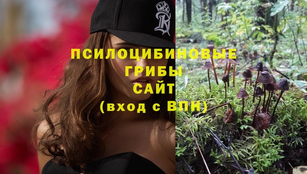 ПСИЛОЦИБИНОВЫЕ ГРИБЫ Балахна