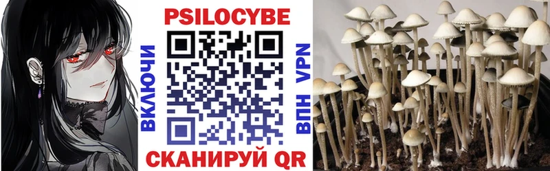 mega ONION  Суоярви  Галлюциногенные грибы Psilocybe  купить наркотики цена 